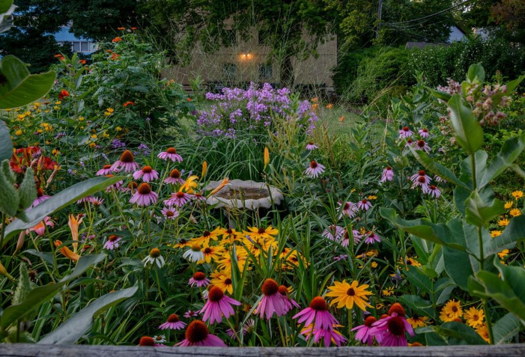 vadviragos-kert-kerttervezes-otlet | Marie Claire Vegyes vadvirágos kert