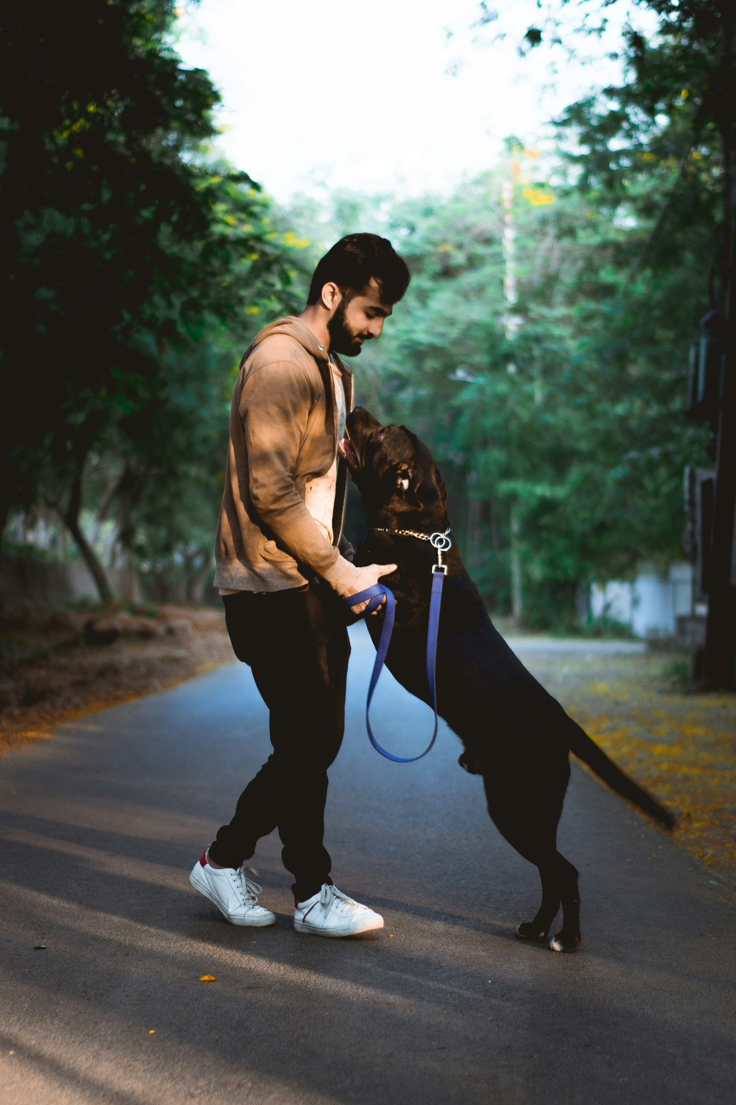 2. Ki kell menniük: Egy kutya, aki ki akar menni pisilni vagy játszani, megpróbálhat azzal jelezni, hogy rád teszi a mancsát, ugat, csóválja a farkát vagy odavisz neked egy játékot. Ha a mancsa odaadása nem motivál arra, hogy kimenj a szabadba, a kutya esetleg az öledbe teszi a fejét, és egyenesen rád néz.