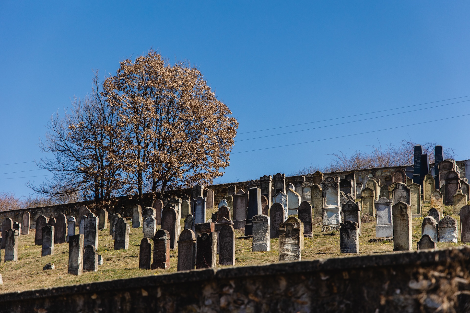 Tokaj-Hegyalja legnagyobb zsidó temetője