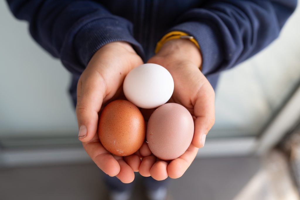 Kisgyerek három tojást tart a kezeiben