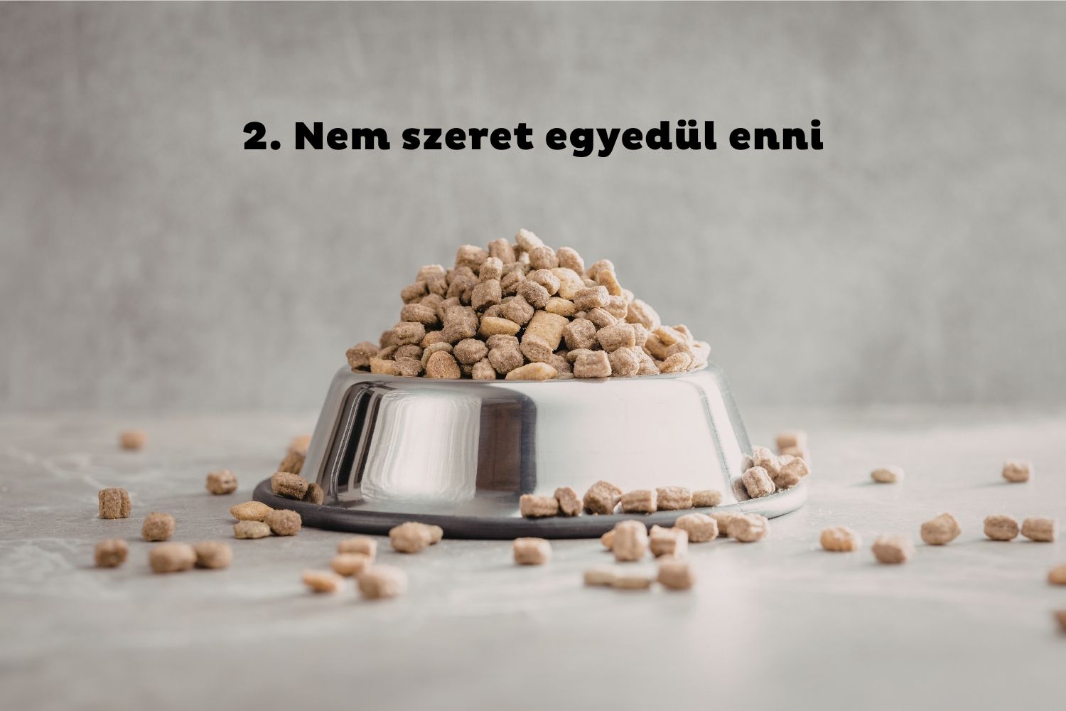 Kutyaeledel púposra pakolva fém kutyatálban, szétszóródva a padlón körülötte kutyatáp