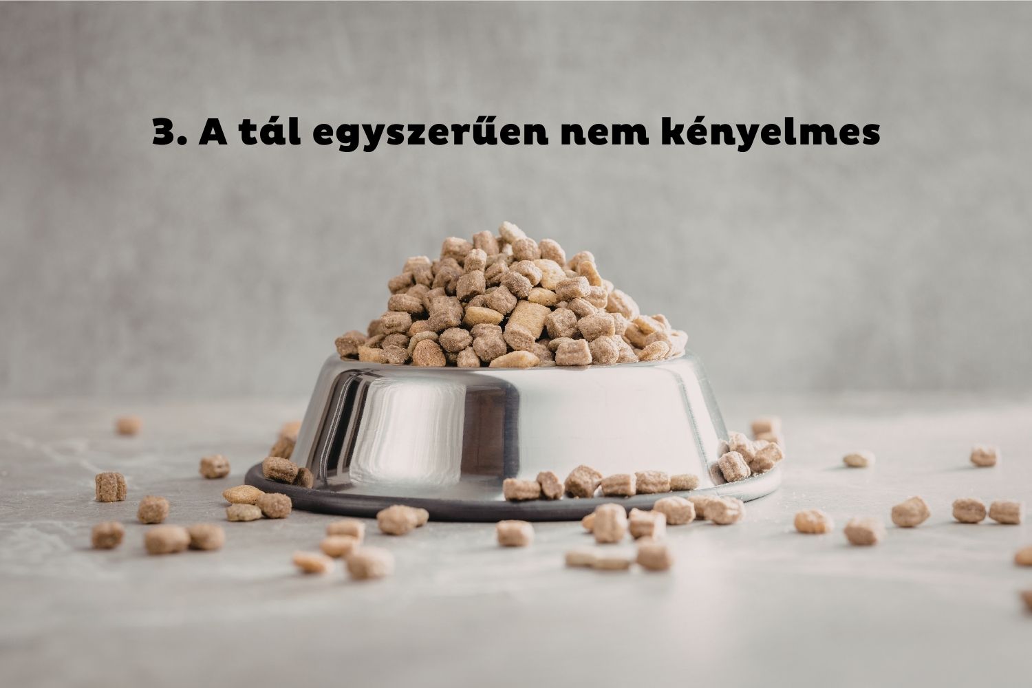 Kutyaeledel púposra pakolva fém kutyatálban, szétszóródva a padlón körülötte kutyatáp