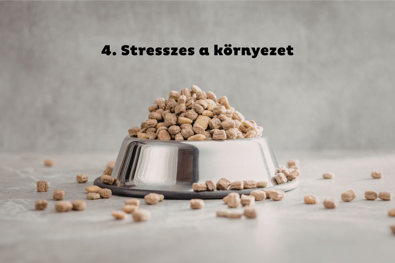 Kutyaeledel púposra pakolva fém kutyatálban, szétszóródva a padlón körülötte kutyatáp