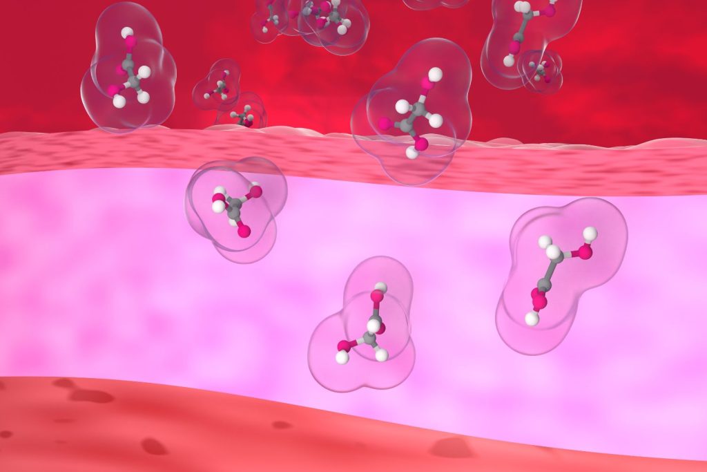 Glikolsav molekulák behatolnak a bőr felső rétegébe, számítógépes illusztráció
