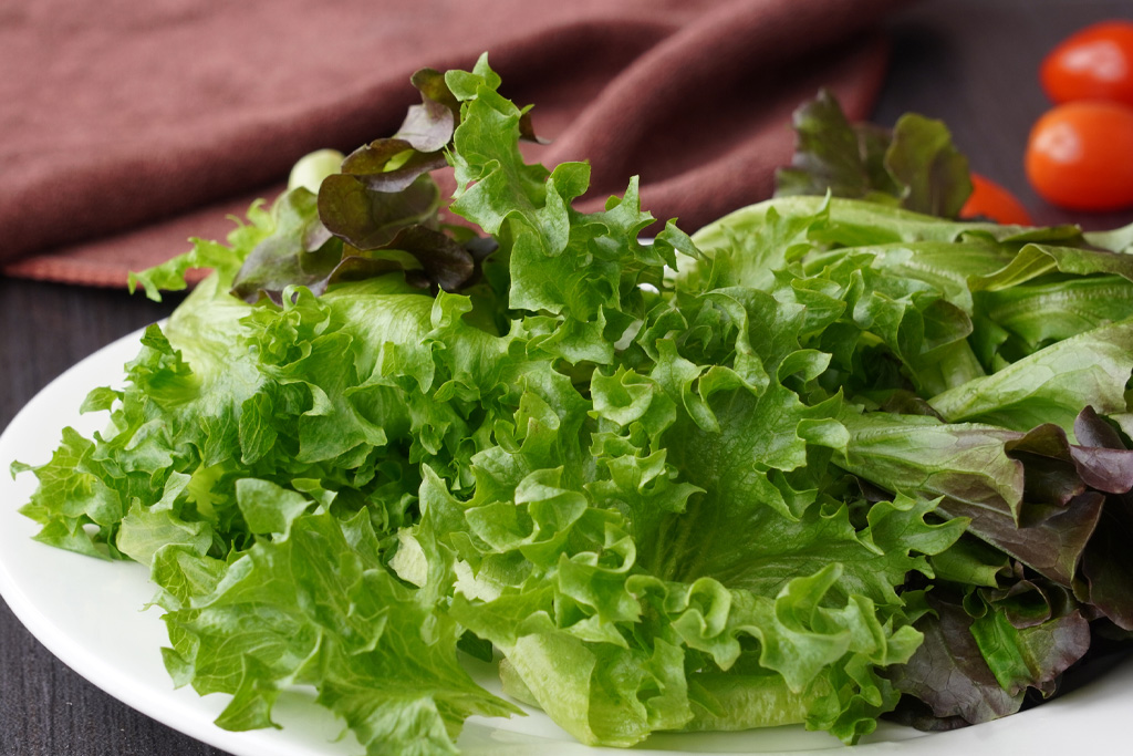 Egy tányér saláta