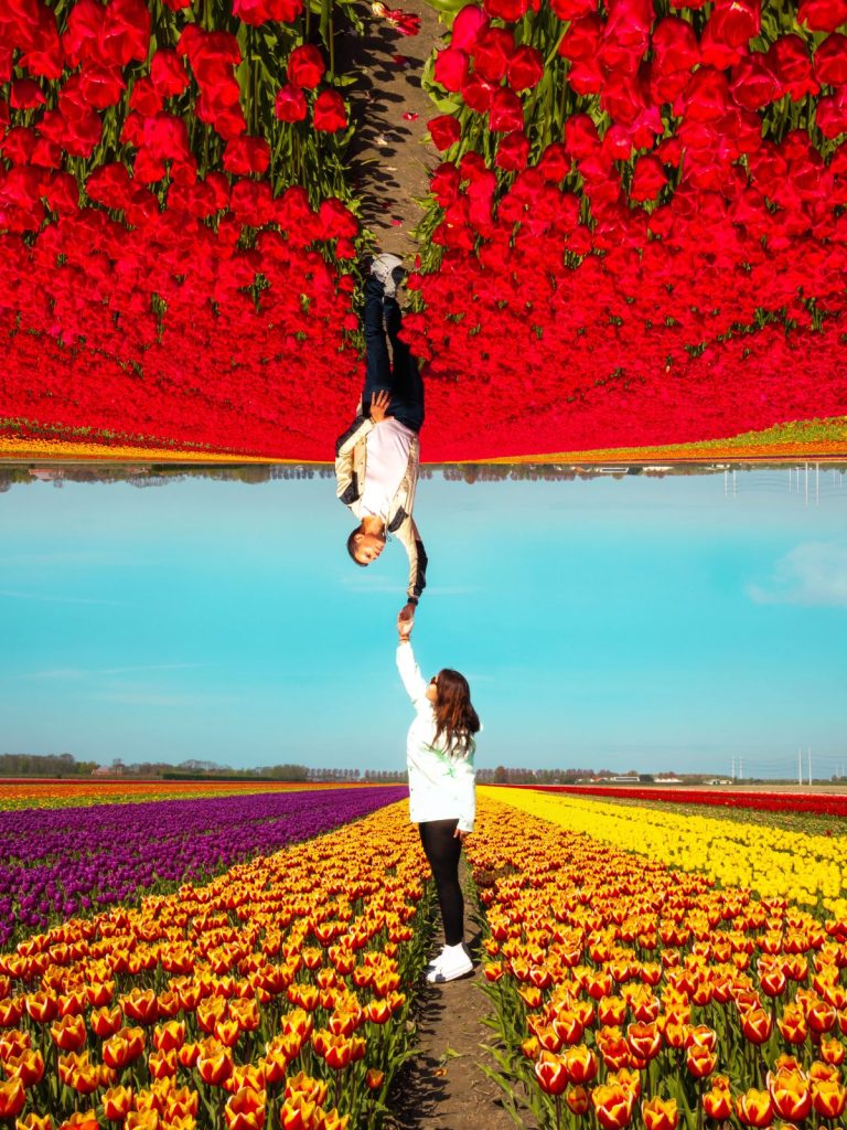 Kreatív kompozíció, felül férfi fejjel lefelé piros tulipán földön, alul nő sárga virágok között, középen összeér a kezük