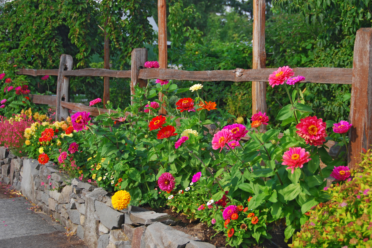 Színes rézvirágok kertben