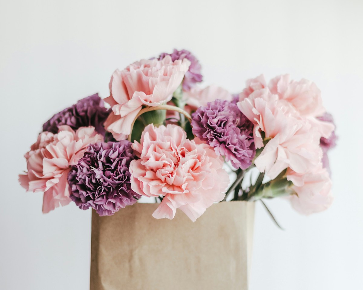 Lila és rózsaszín szegfűk csokorban, vázában elhelyezve