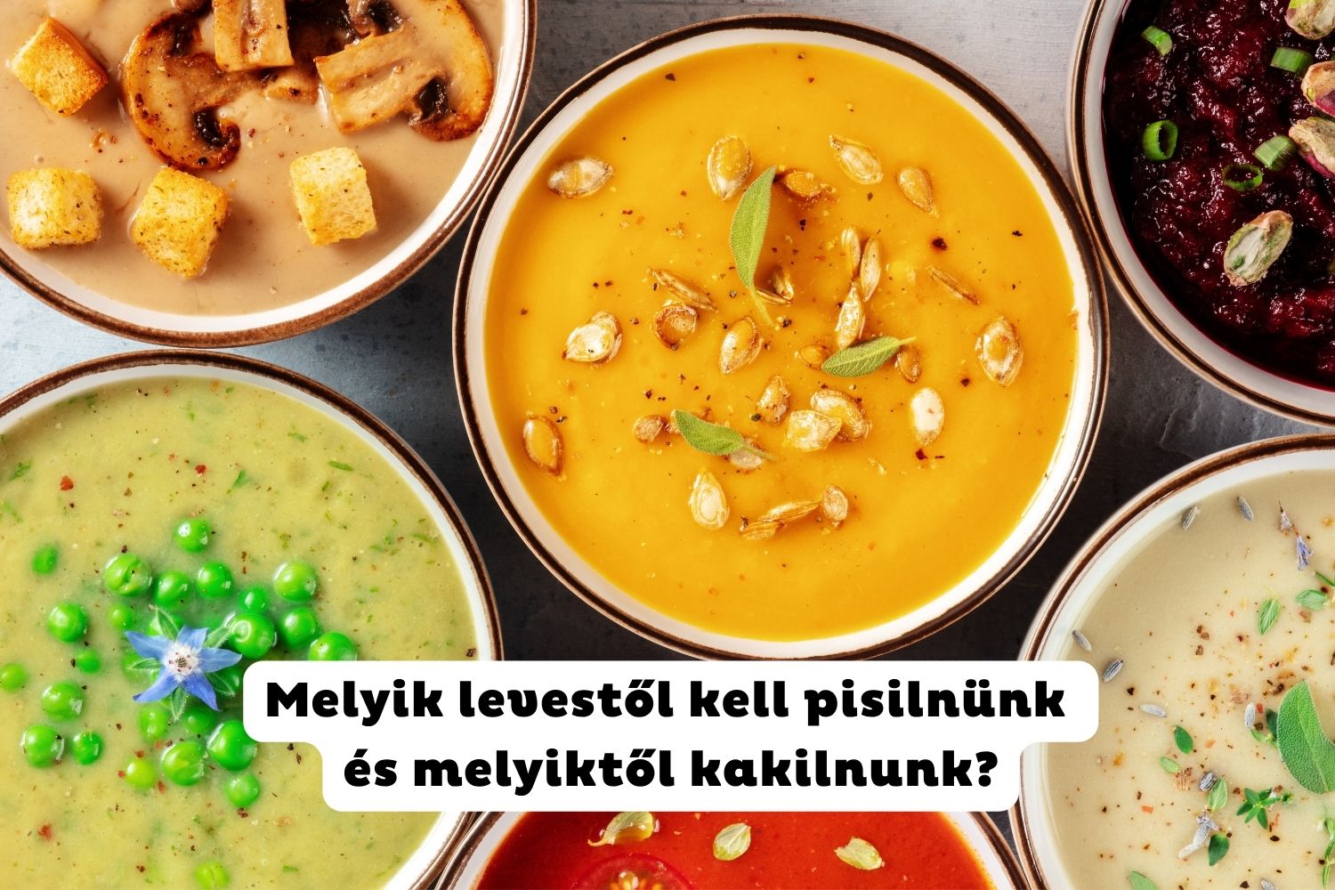 Felülnézetben különböző színes krémlevesek