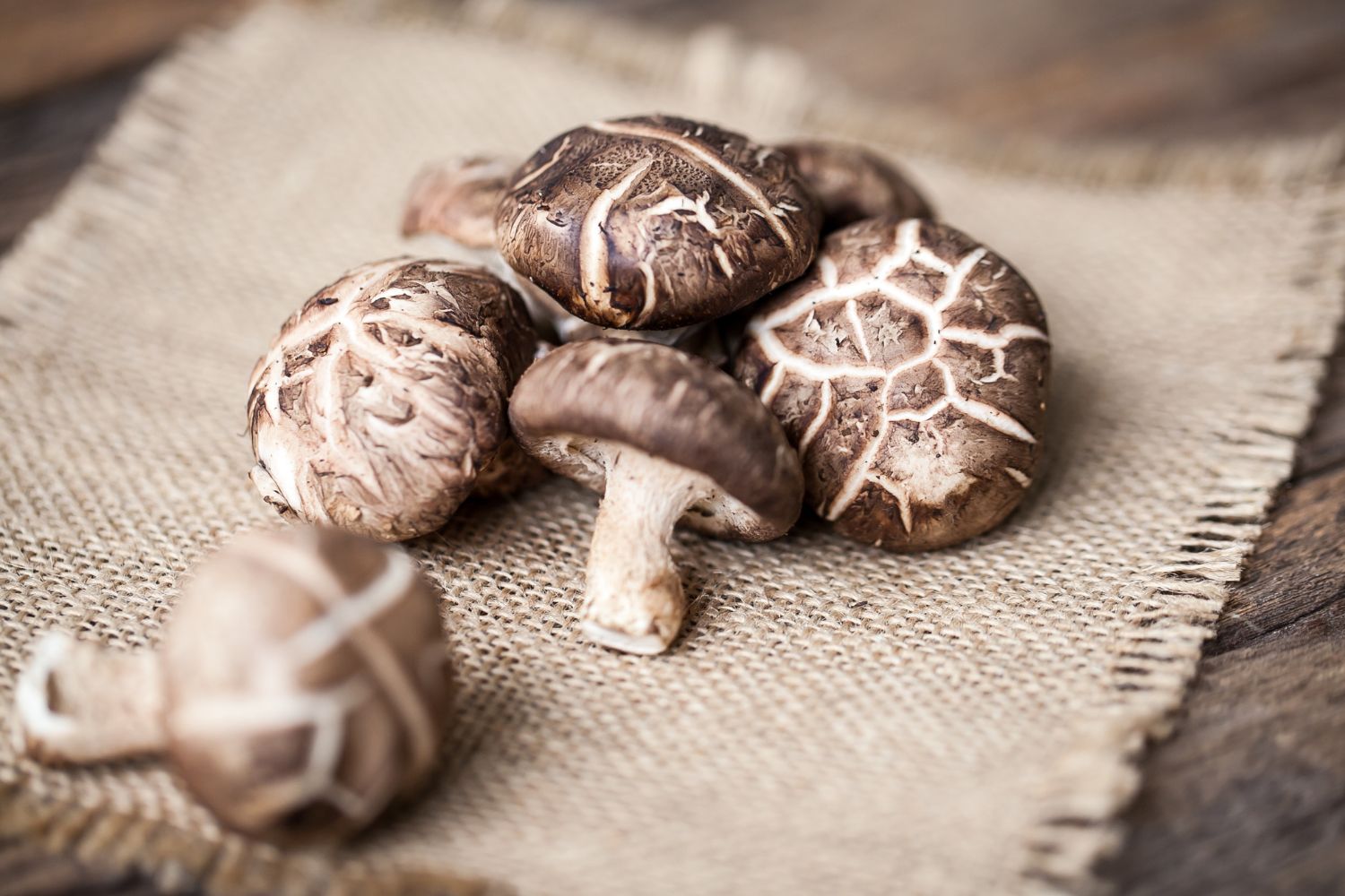 4. Shiitake vagy illatos gomba | Marie Claire Shiitake gombák zsákanyagon asztalon