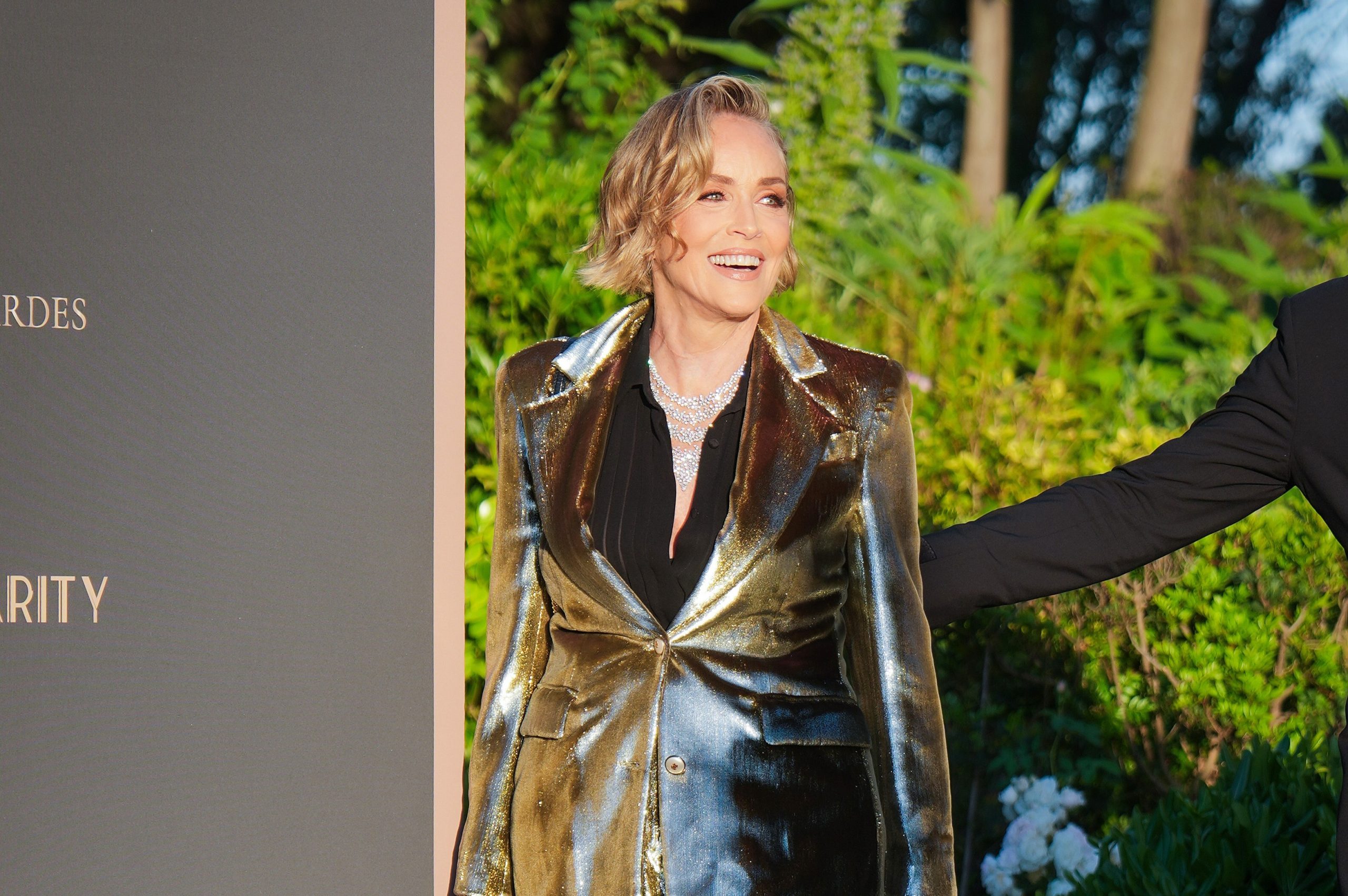 Sharon Stone Cannes 2026