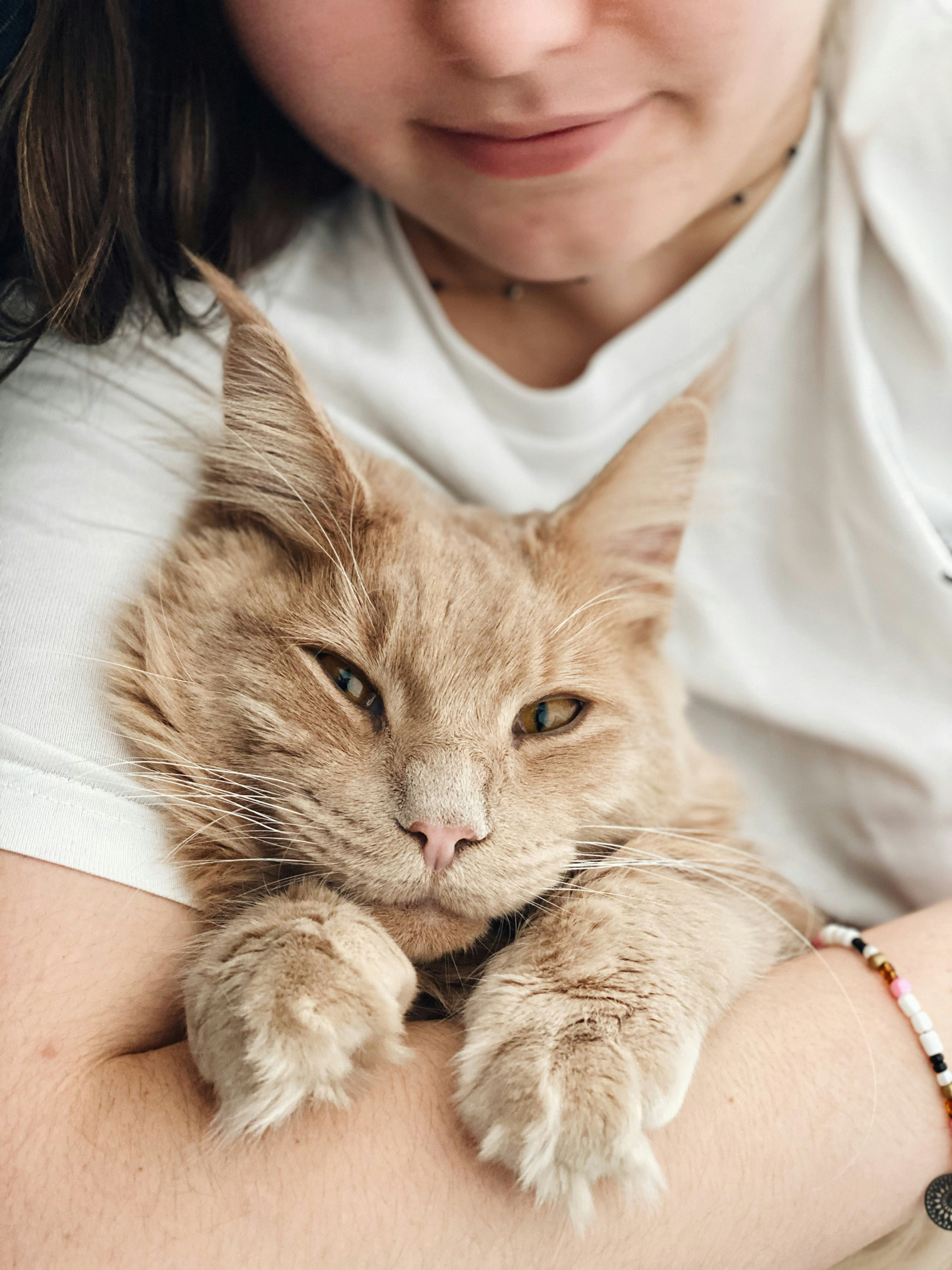 macska-nyalogat-kez | Marie Claire 3. Kötődés. A macskák nyalogatással és tisztálkodással kötnek. A kedvenc személyeikkel is így kötődnek, valószínűleg viszonozva a szívességet azzal, hogy megölelik és megsimogatják őket.