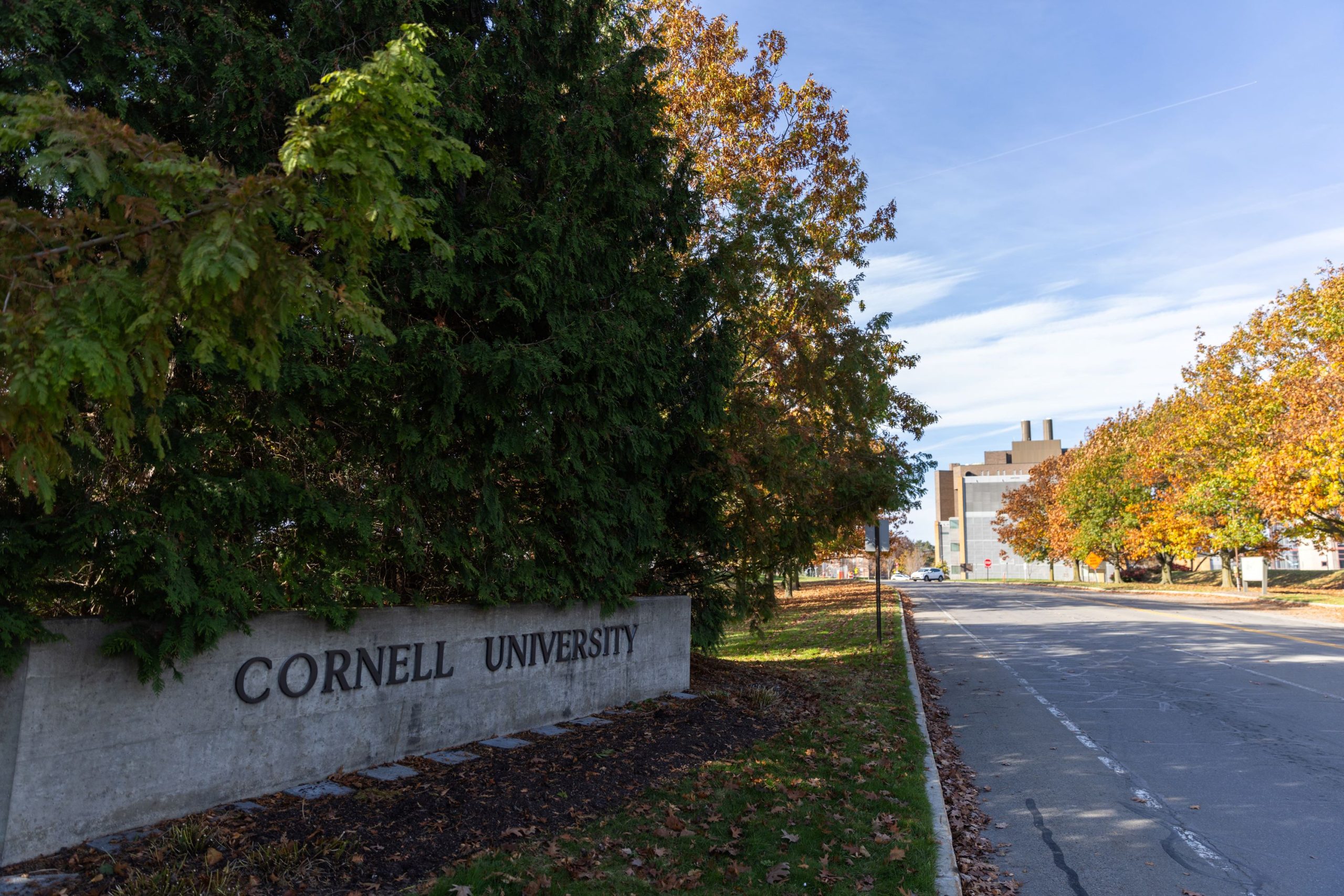 cornell-egyetem-csoportos-nemi-eroszak | Marie Claire Cornell Egyetem