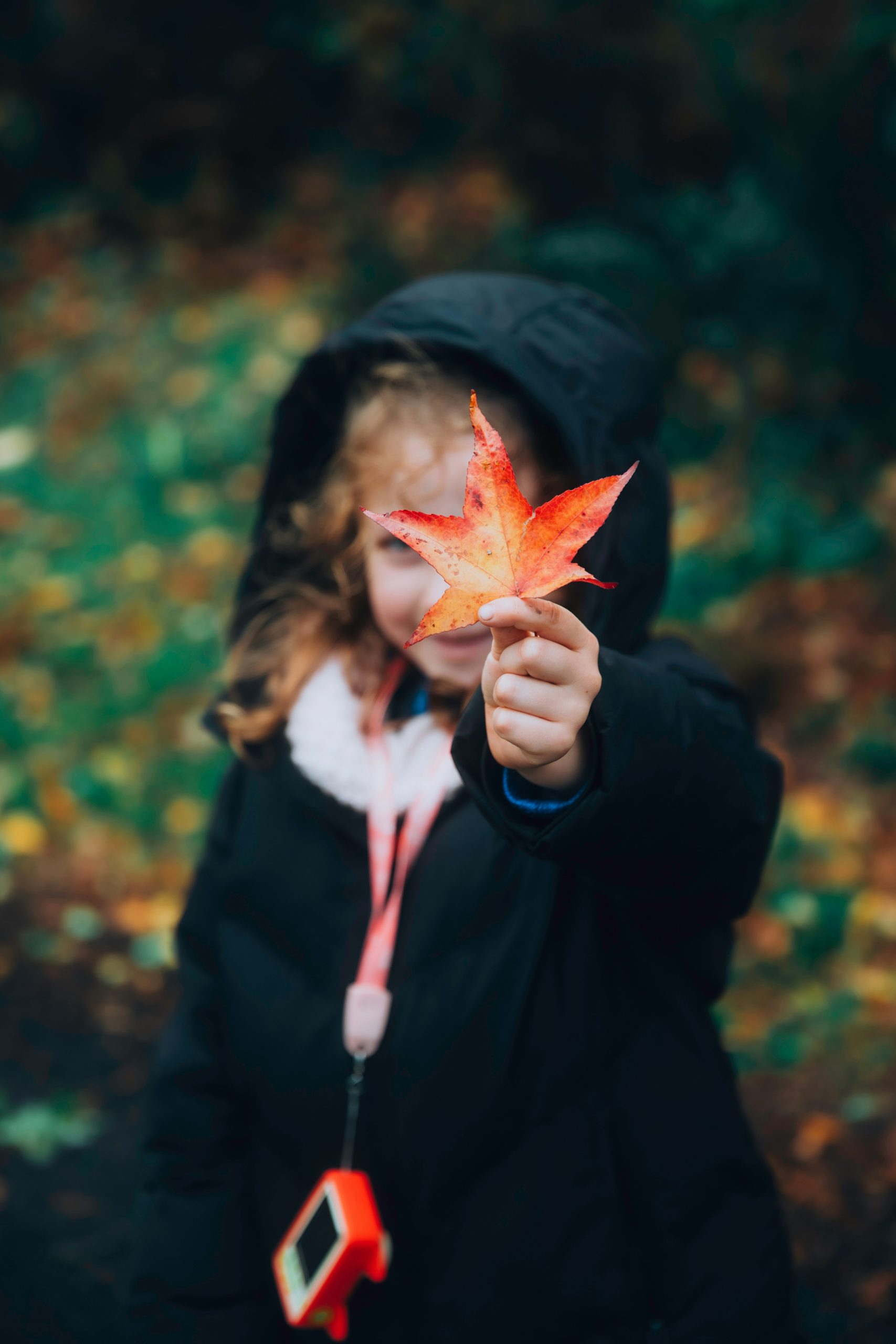kislány őszi erdőben az arca elé tart színes falevelet